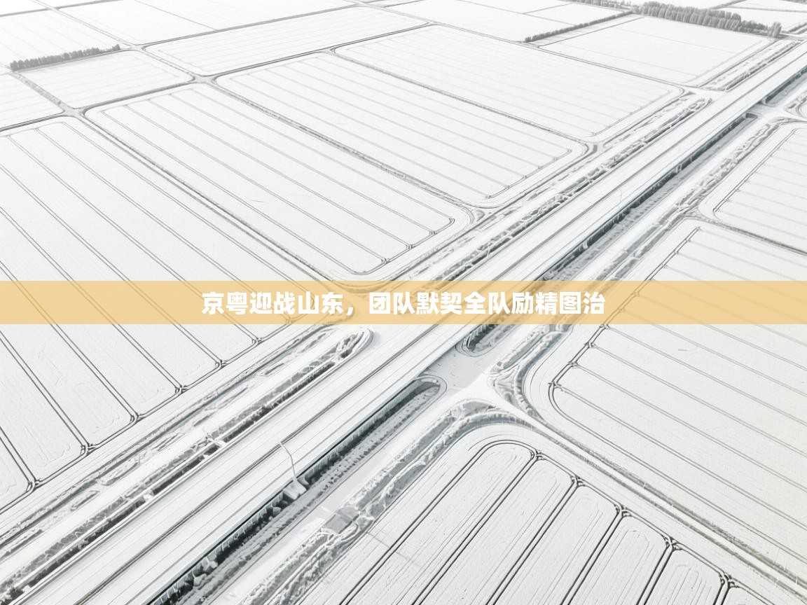 京粤迎战山东，团队默契全队励精图治