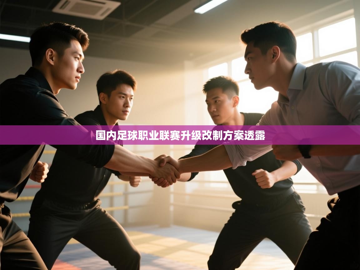国内足球职业联赛升级改制方案透露