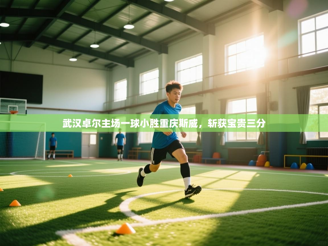 武汉卓尔主场一球小胜重庆斯威，斩获宝贵三分