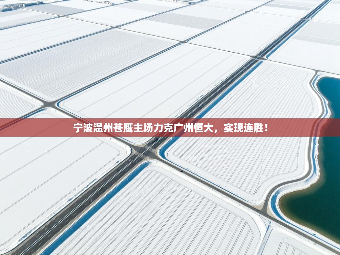 宁波温州苍鹰主场力克广州恒大，实现连胜！